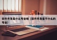 軟件開發(fā)是什么專業(yè)哦（軟件開發(fā)是干什么的專業(yè)）