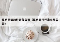 昆明呈貢軟件開發(fā)公司（昆明軟件開發(fā)有限公司）