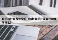 自學軟件開發(fā)好學嗎（如何自學開發(fā)軟件需要學什么）