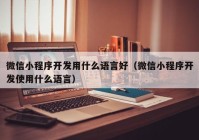 微信小程序開發(fā)用什么語言好（微信小程序開發(fā)使用什么語言）