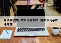 哈爾濱軟件開發(fā)公司哪家好（哈爾濱app軟件開發(fā)）