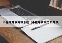 小程序開發(fā)商城系統(tǒng)（小程序商城怎么開發(fā)）