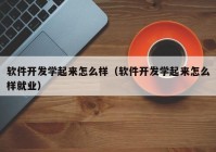 軟件開發(fā)學起來怎么樣（軟件開發(fā)學起來怎么樣就業(yè)）