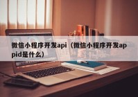 微信小程序開發(fā)api（微信小程序開發(fā)appid是什么）