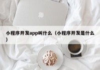 小程序開發(fā)app叫什么（小程序開發(fā)是什么）