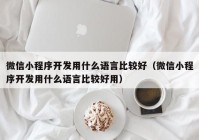 微信小程序開發(fā)用什么語言比較好（微信小程序開發(fā)用什么語言比較好用）