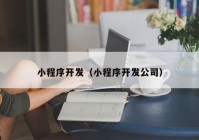 小程序開發(fā)（小程序開發(fā)公司）