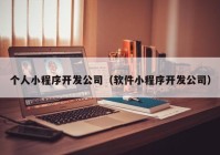 個人小程序開發(fā)公司（軟件小程序開發(fā)公司）