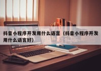 抖音小程序開發(fā)用什么語言（抖音小程序開發(fā)用什么語言好）