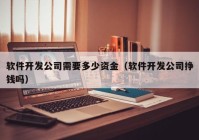 軟件開發(fā)公司需要多少資金（軟件開發(fā)公司掙錢嗎）