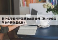 初中生學(xué)軟件開發(fā)就業(yè)前景好嗎（初中畢業(yè)生學(xué)軟件開發(fā)怎么樣）