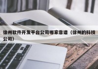 徐州軟件開發(fā)平臺公司哪家靠譜（徐州的科技公司）