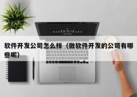 軟件開發(fā)公司怎么樣（做軟件開發(fā)的公司有哪些呢）