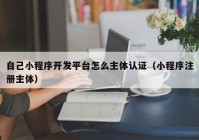 自己小程序開發(fā)平臺怎么主體認證（小程序注冊主體）