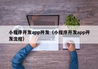 小程序開(kāi)發(fā)app開(kāi)發(fā)（小程序開(kāi)發(fā)app開(kāi)發(fā)流程）