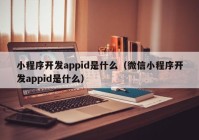 小程序開(kāi)發(fā)appid是什么（微信小程序開(kāi)發(fā)appid是什么）