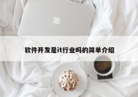 軟件開發(fā)是it行業(yè)嗎的簡(jiǎn)單介紹