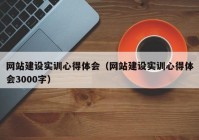 網(wǎng)站建設實訓心得體會（網(wǎng)站建設實訓心得體會3000字）