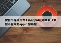 微信小程序開(kāi)發(fā)工具appid在哪里看（微信小程序的appid在哪看）