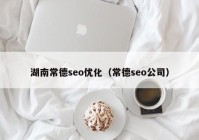 湖南常德seo優(yōu)化（常德seo公司）