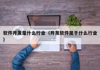 軟件開發(fā)是什么行業(yè)（開發(fā)軟件屬于什么行業(yè)）