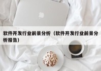 軟件開發(fā)行業(yè)前景分析（軟件開發(fā)行業(yè)前景分析報告）