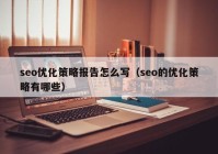 seo優(yōu)化策略報告怎么寫（seo的優(yōu)化策略有哪些）