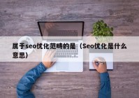 屬于seo優(yōu)化范疇的是（Seo優(yōu)化是什么意思）