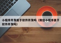 小程序開發(fā)屬于軟件開發(fā)嗎（微信小程序?qū)儆谲浖_發(fā)嗎）