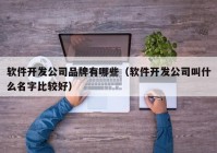 軟件開發(fā)公司品牌有哪些（軟件開發(fā)公司叫什么名字比較好）